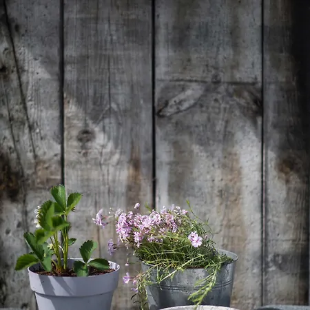 Panzió Les Du Vivier, D'hotes A Durbuy