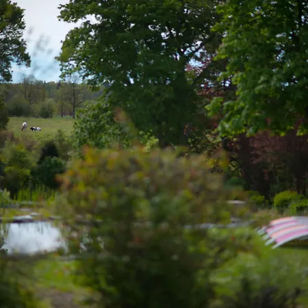 ベッド・アンド・ブレックファスト Les Du Vivier, D'hotes A デュルビュイ