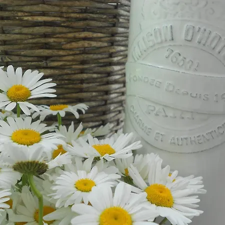 Les Du Vivier, D'hotes A デュルビュイ